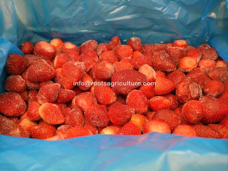 Roots Agriculture - رووتس للحاصلات الزراعية - صورة 1