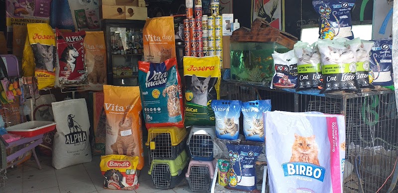 Pets home للحيوانات الأليفة
