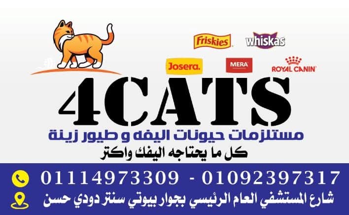 4cats - صورة 2