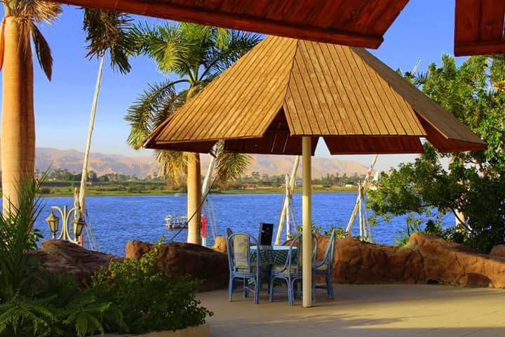 بديعة كافية Badia Cafe - صورة 3