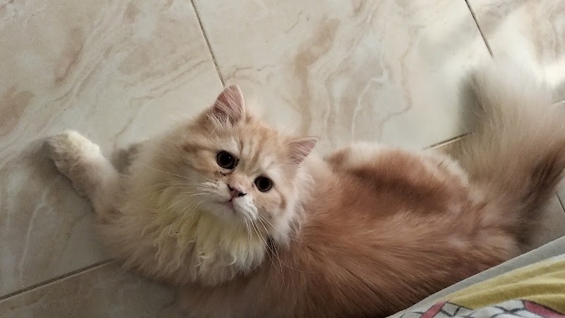 د. باسم مراد - صورة 1