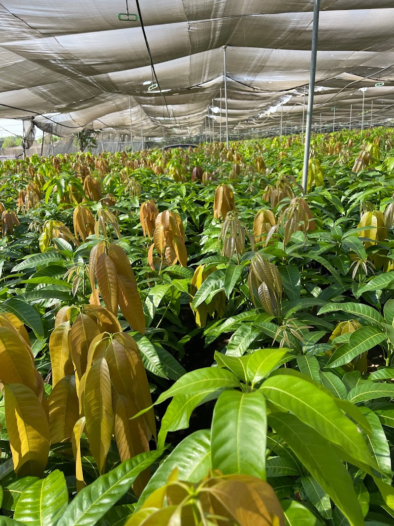 Elite Agricultural Development - Photo 1