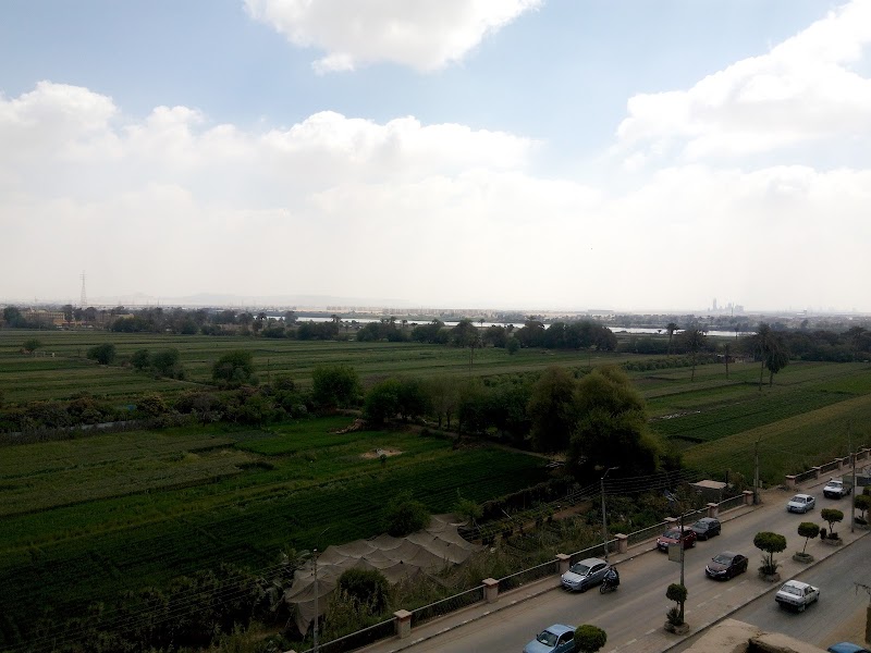 مشتل - صورة 1