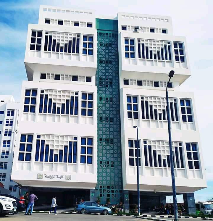 Damanhour University