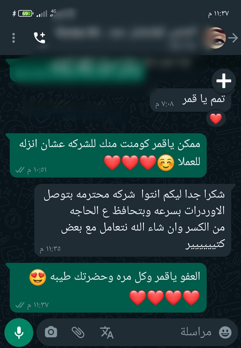 الرمال للشحن داخل الإسكندرية والمحافظات - صورة 1