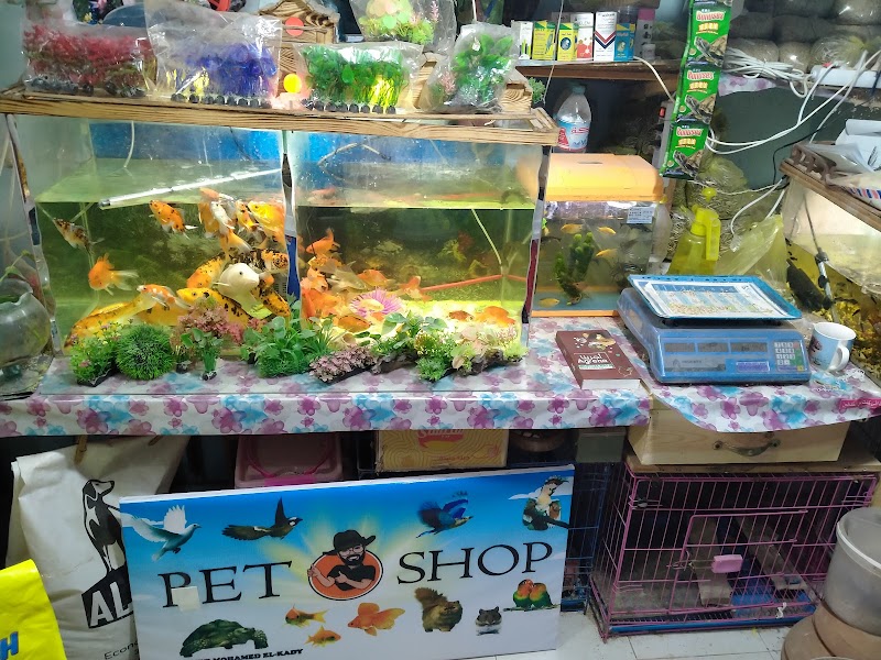 Pet and Ornamental Plant Exhibition