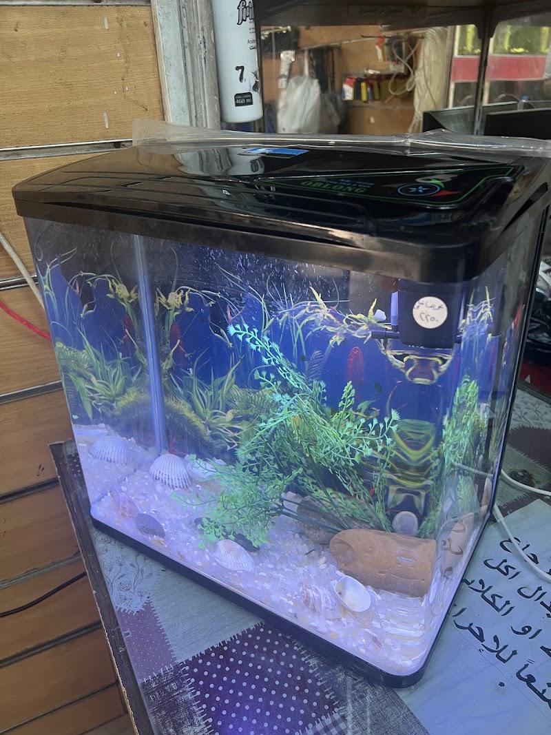 Al bahey pet shop - Photo 2