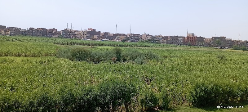 Faculty of Al-Alsun Luxor University - Photo 3