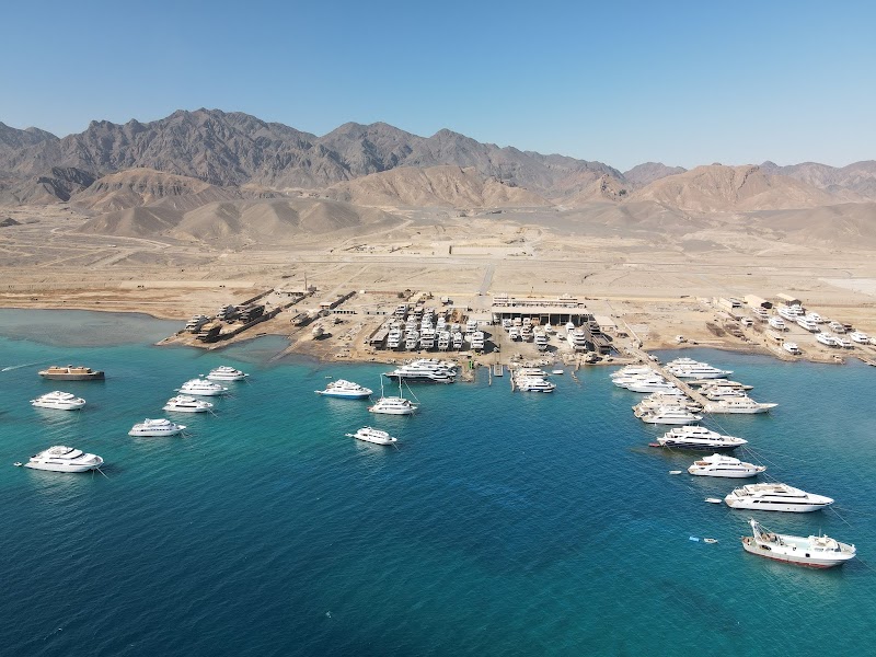 South Red Sea Shipyard (SRSS) - Photo 2
