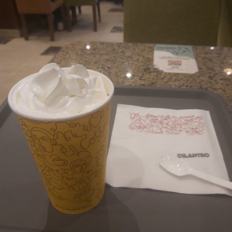 Cilantro - صورة 3