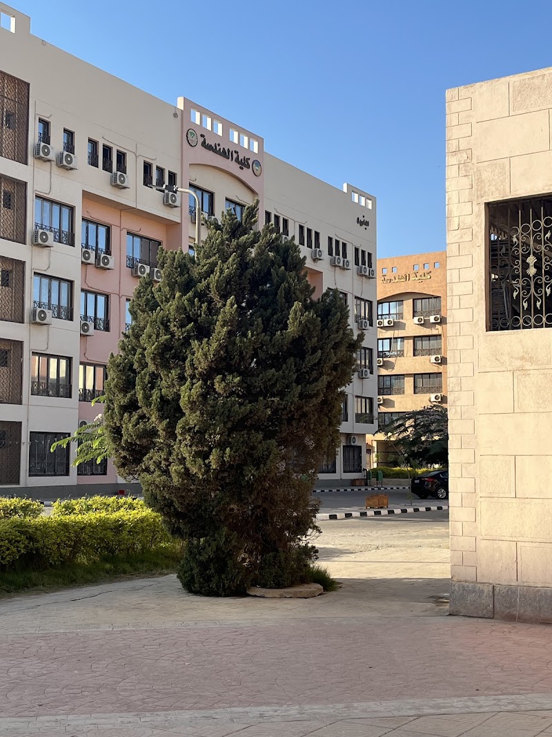 كلية الهندسة - جامعة طنطا - صورة 3