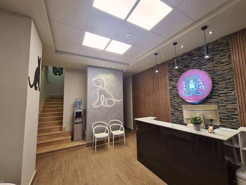 British Animal Hospital - Madinaty - Photo 1
