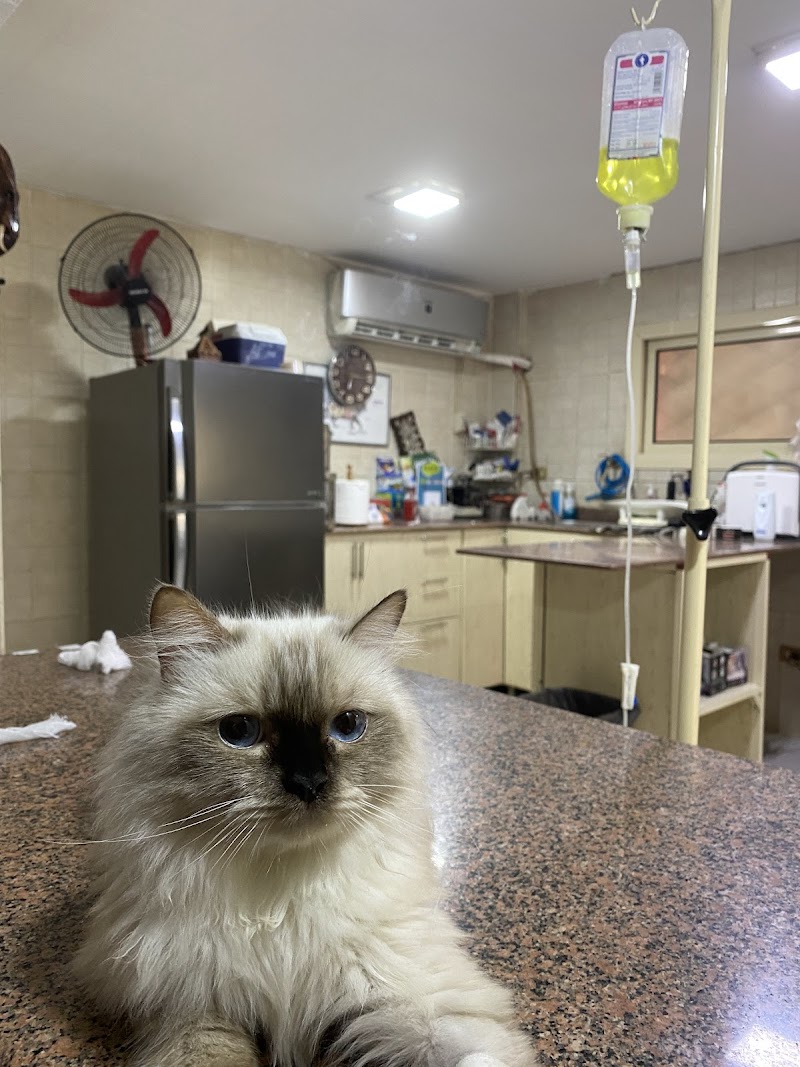 Veterinary Clinic in Tanta - Dr. Assem Obeid - - Photo 1