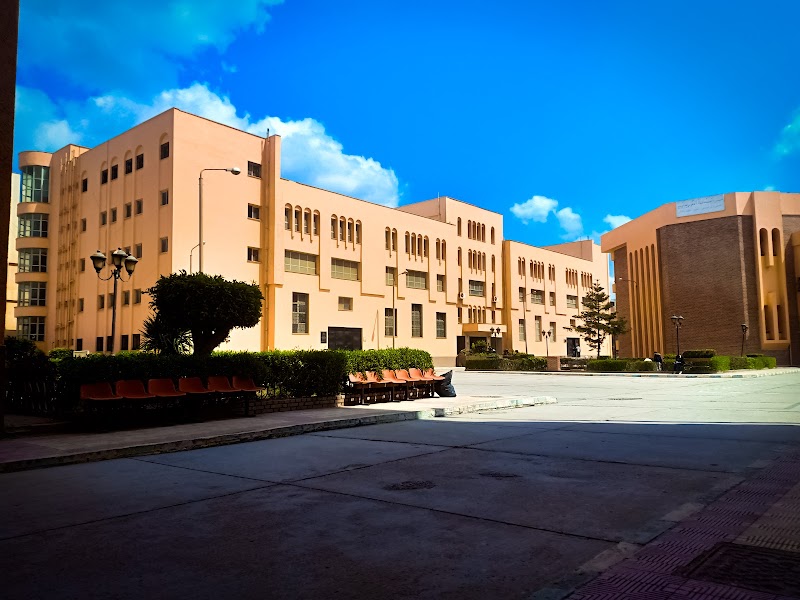 كلية الهندسة جامعة المنوفية - صورة 1