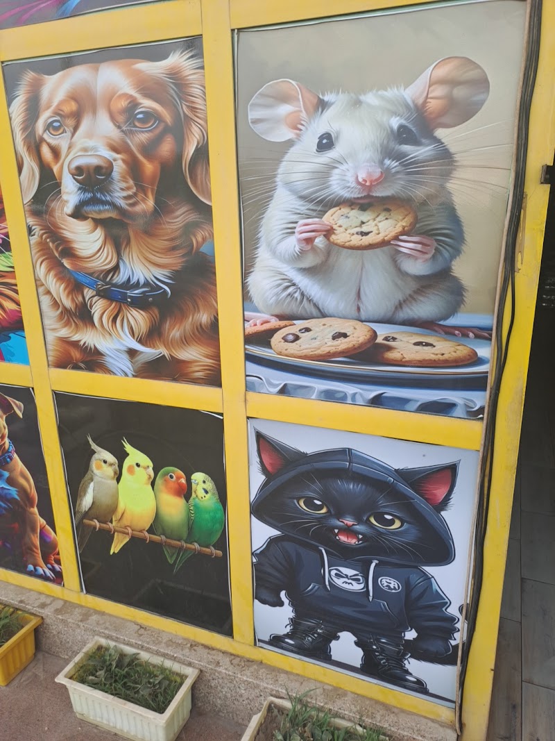 tarazan pet's shop - صورة 1