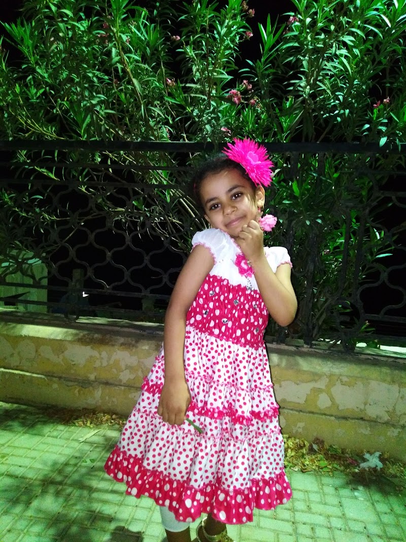 Nesmeat El Ganoub Wedding Hall قاعة نسمة الجنوب - Photo 3