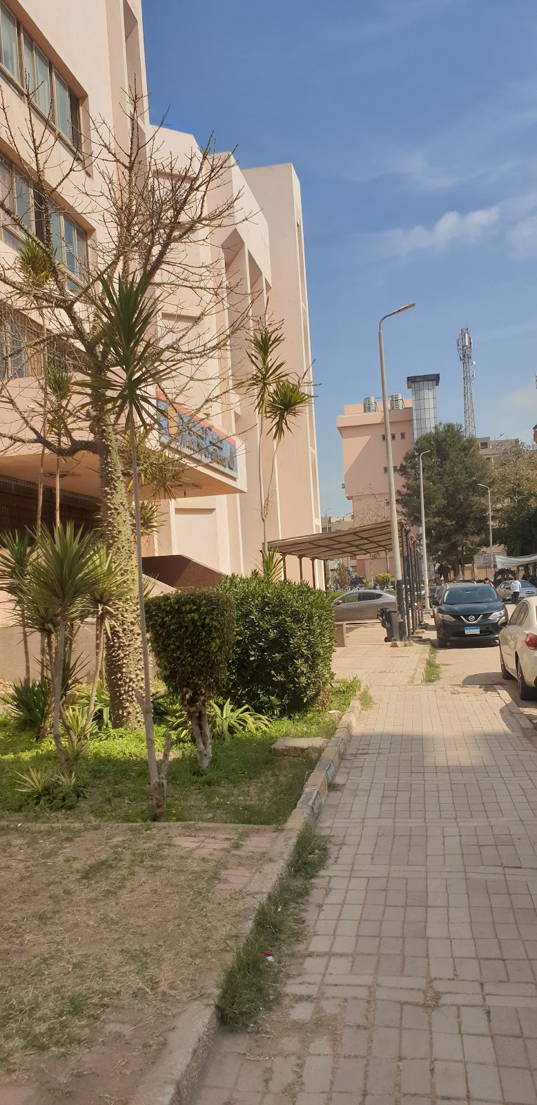 مجمع الكليات - صورة 2