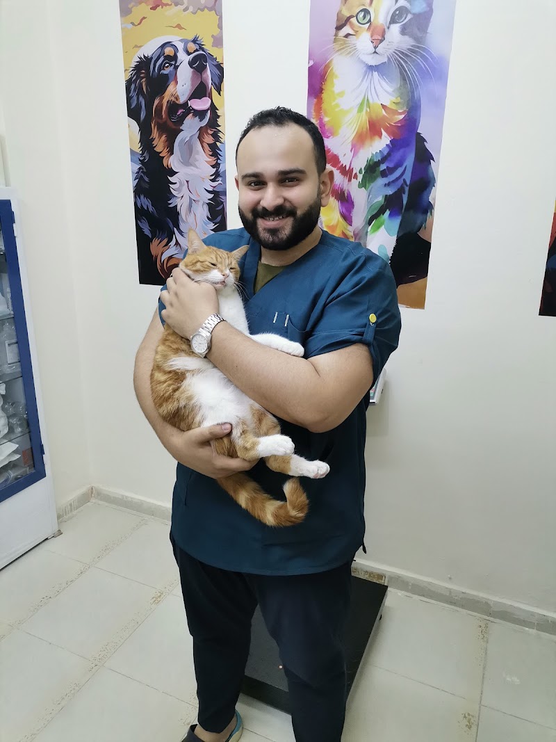 Pet Home Clinic - عيادة بيطرية لطب و جراحة الحيوانات الأليفة د. محمود حنفي - صورة 1
