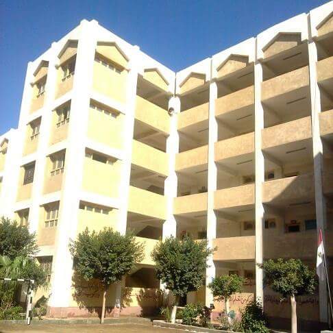 معاهد فتحي الخولي