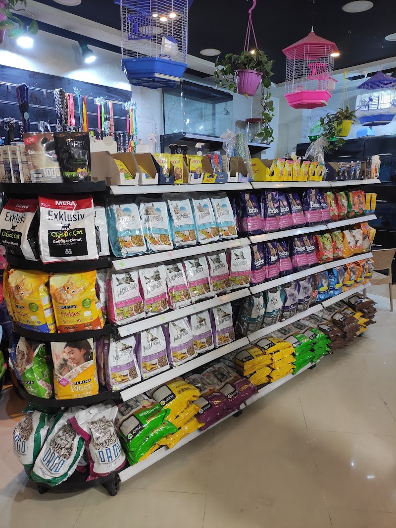 Simba pet's store - Photo 1