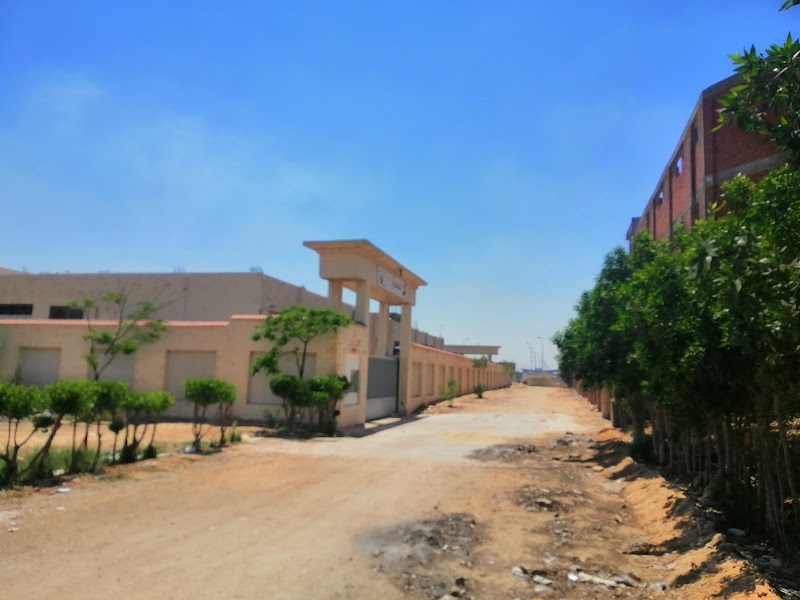 مصنع المصري للصناعات الغذائية(الصلصة) - صورة 1