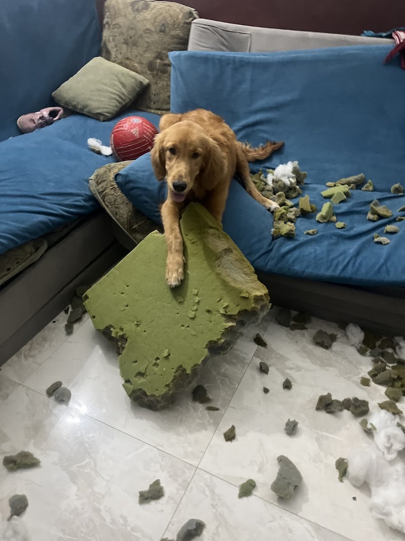 Pets Mall