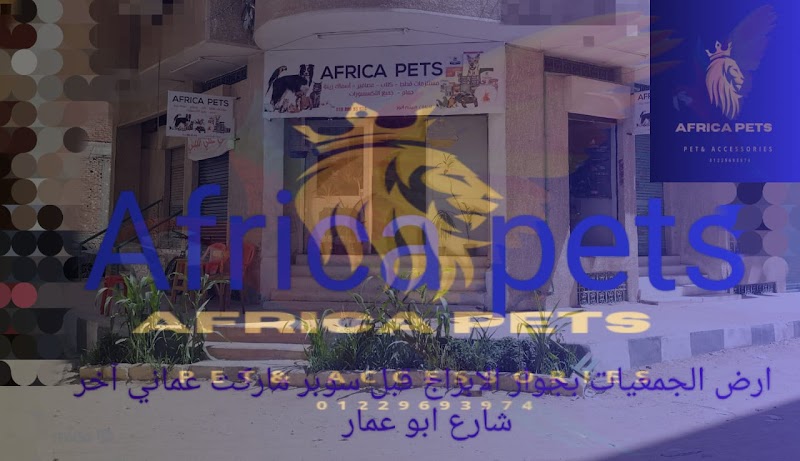 افريكا بيتس - صورة 1
