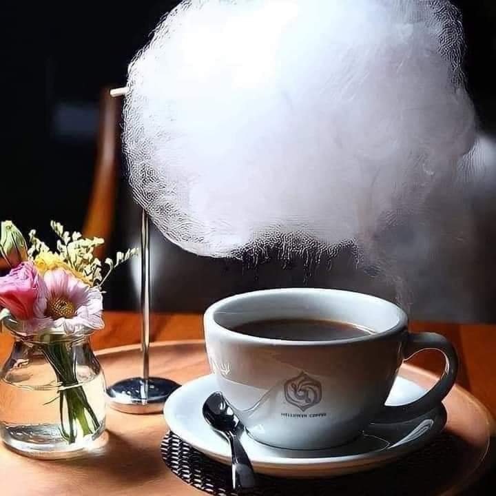 Saltana cafe