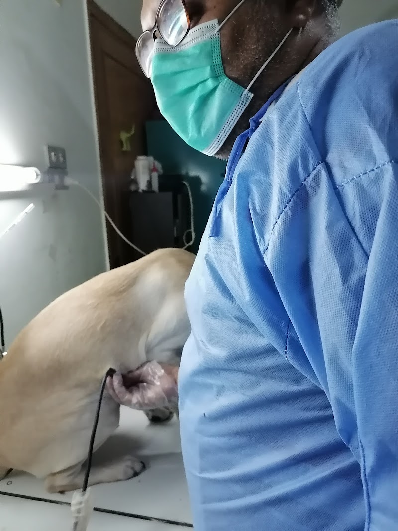 Pet Smile Clinic-عيادة الحيوانات الأليفه -ا.دتيمور الشري - Photo 2