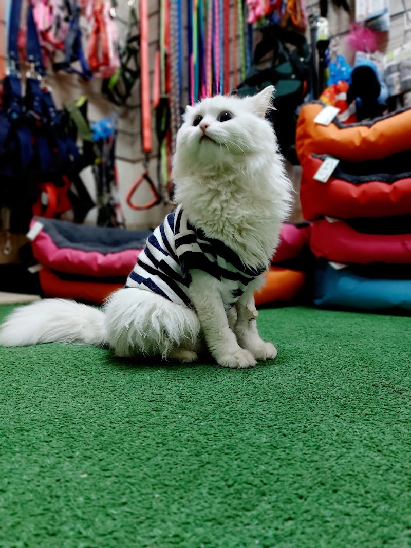 Jungle pet clinic - صورة 3