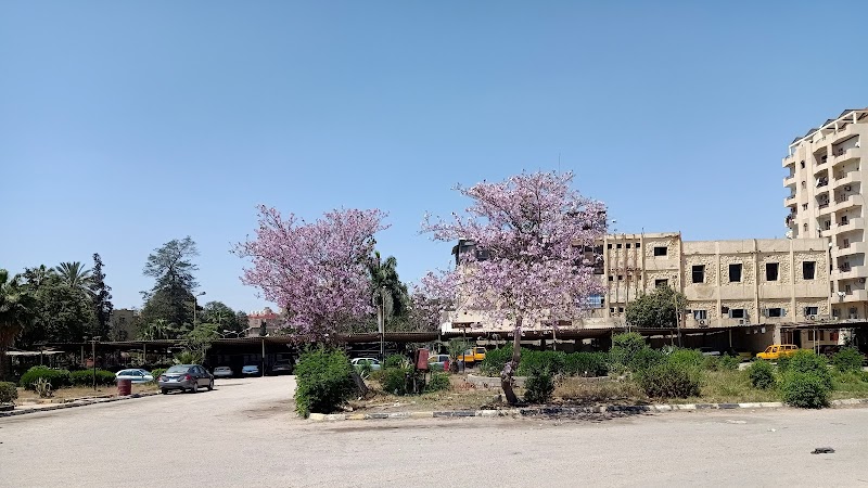 شركة المقاولون العرب - فرع القناة - صورة 2