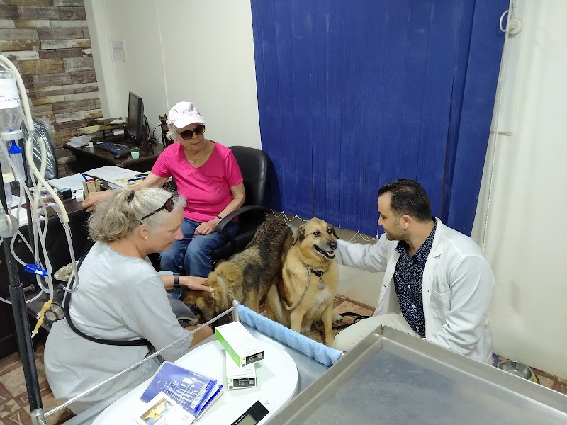 Pets Haven Clinic in Alex عيادة بيطرية بالاسكندرية - Photo 3