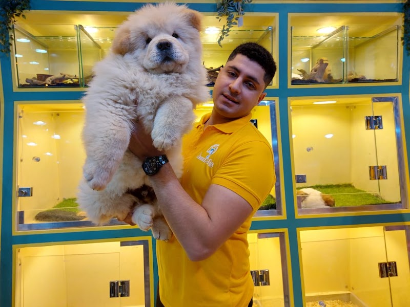 عيادة بيطرية ومتجر حيوانات أليفة Sham Pets - صورة 1