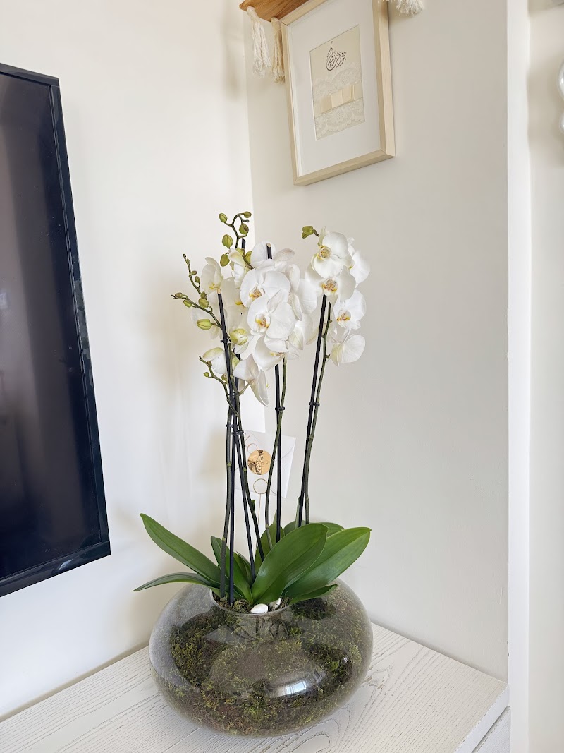 Floward.com - Photo 3