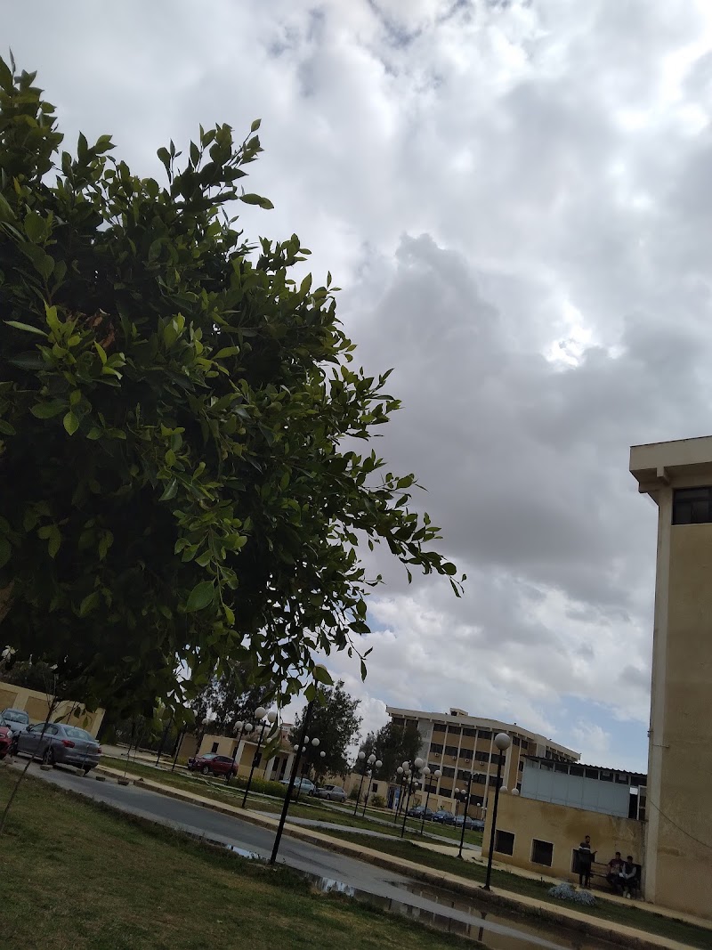 كلية الطب - جامعة قناة السويس - صورة 3