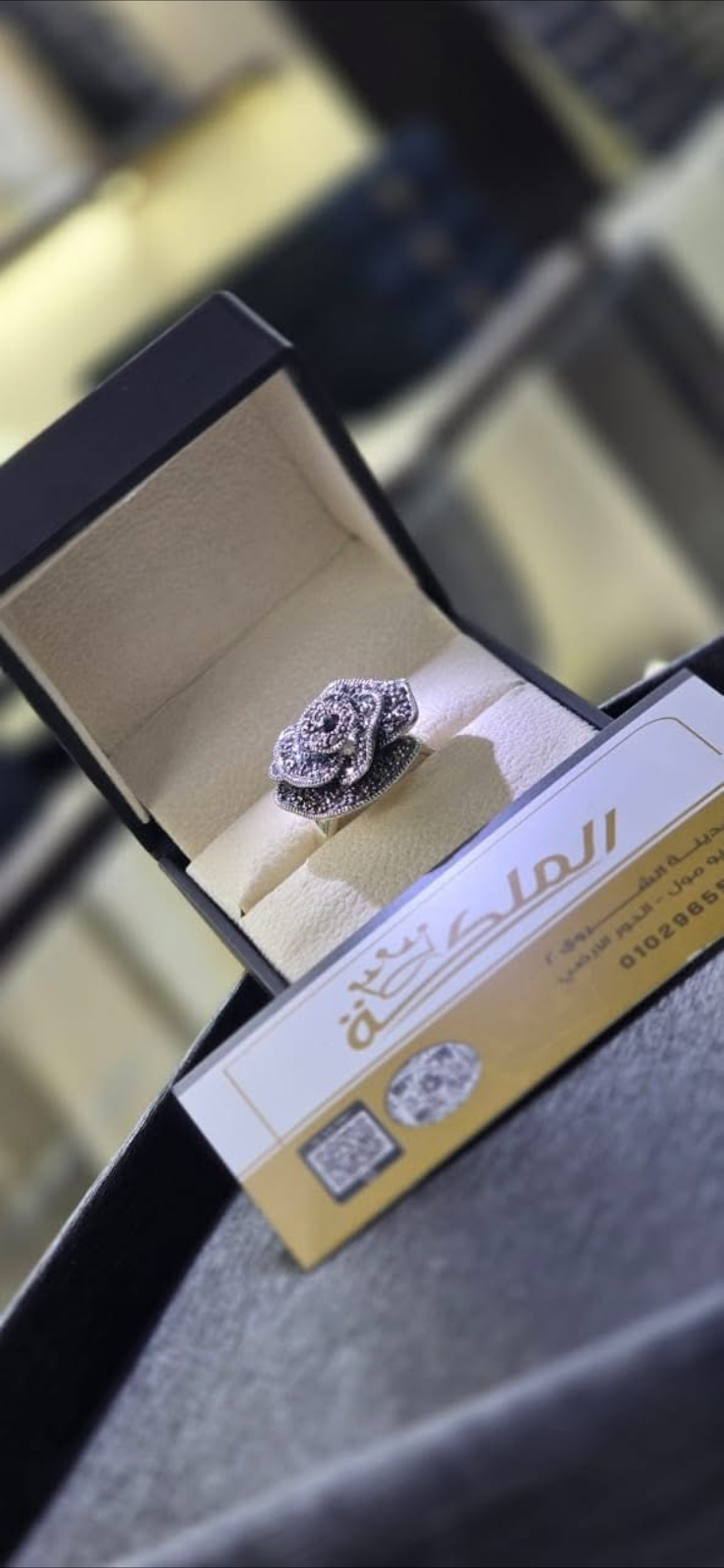 فضيات الملكة - صورة 2