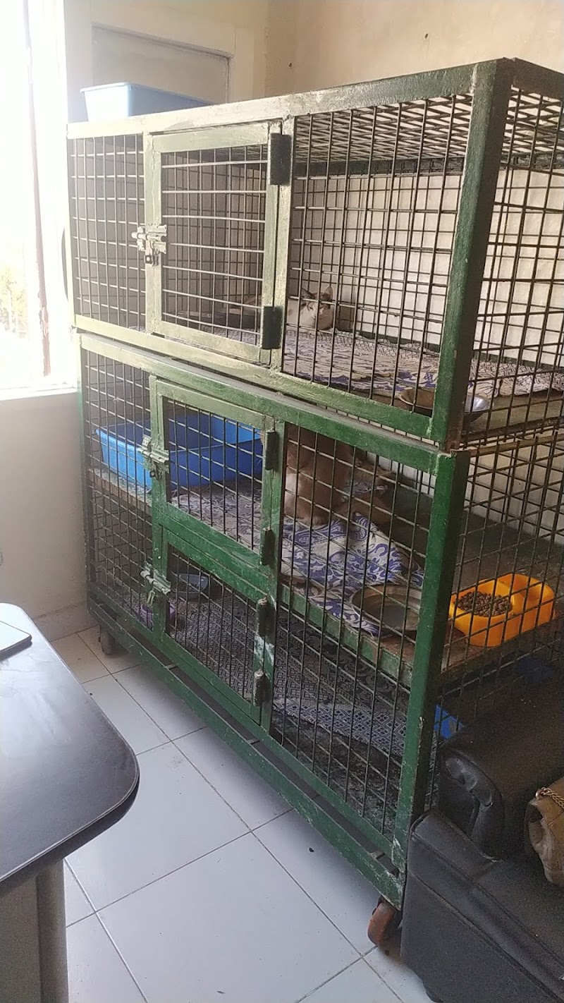 4 PETS - Photo 2
