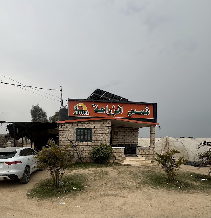 مشتل شمس الزراعة