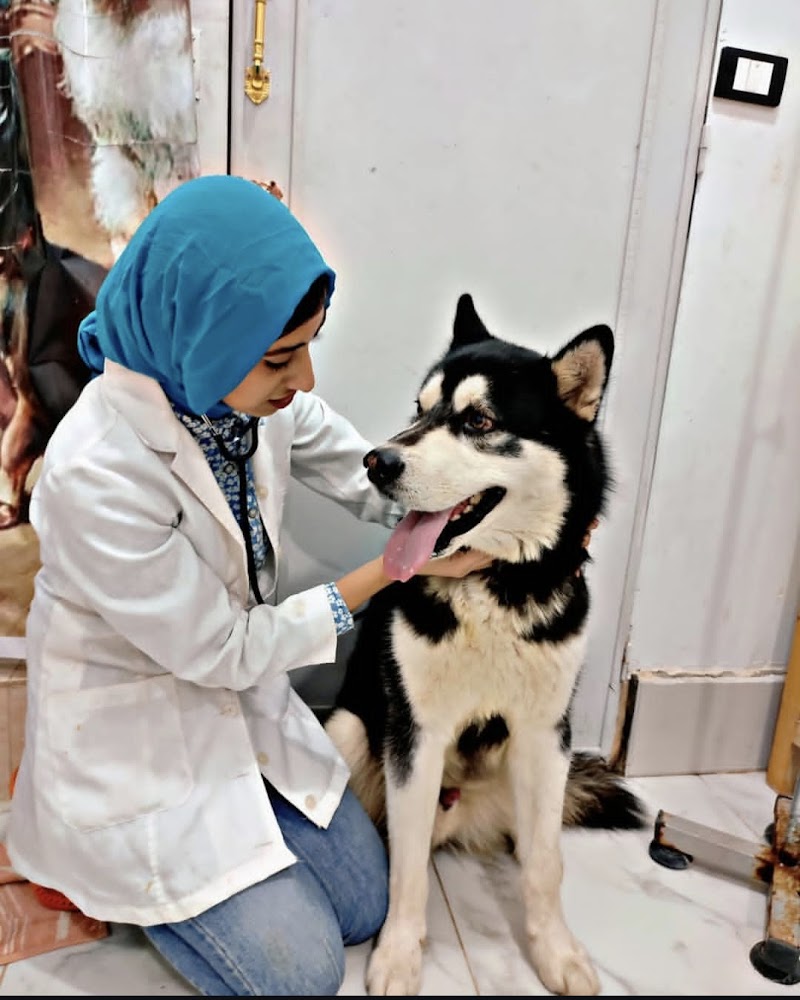 Pet Island Veterinary Clinic and Store - صورة 1