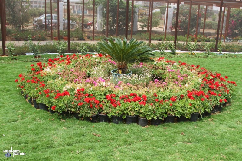 Peace Nursery - Photo 2