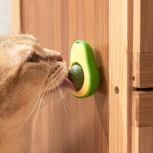 Funny pets - Photo 1