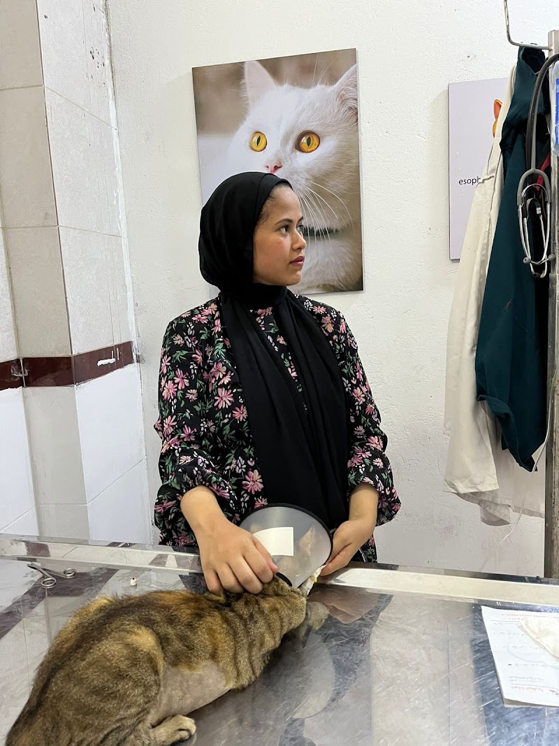 المركز البيطري | Meow Clinic - صورة 1