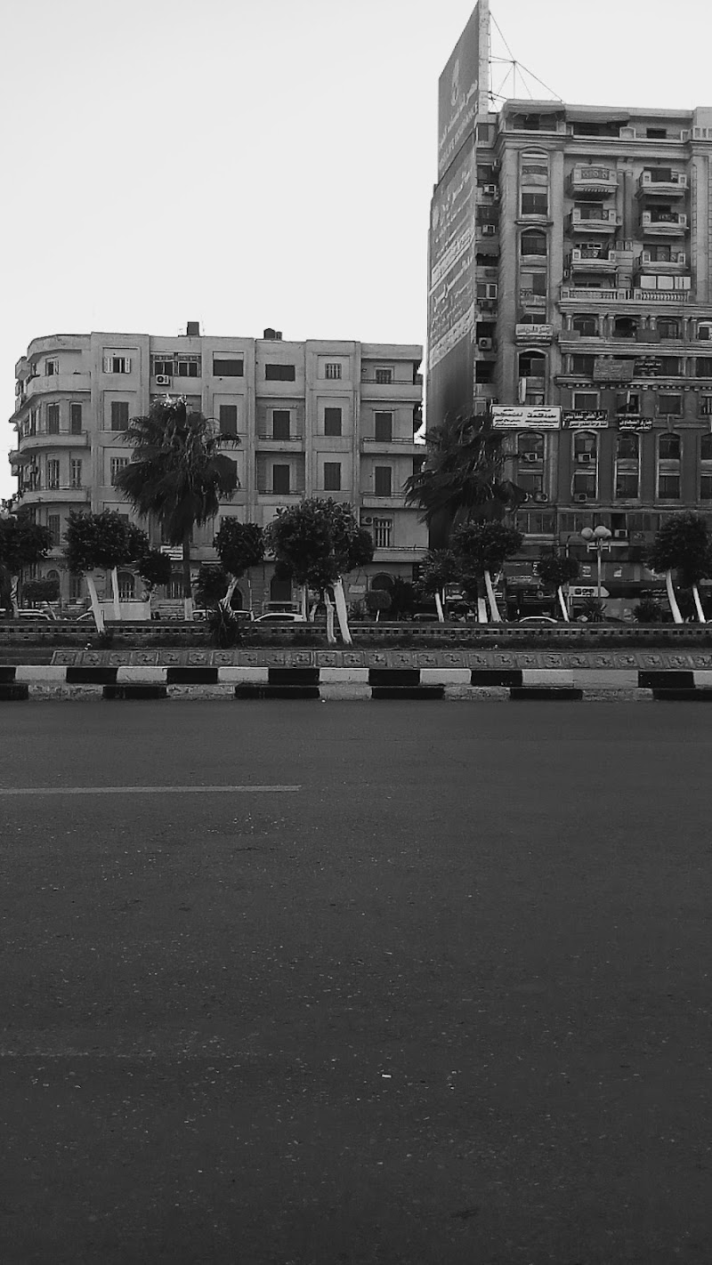 LAIKA Photography Mansoura - Photo 1