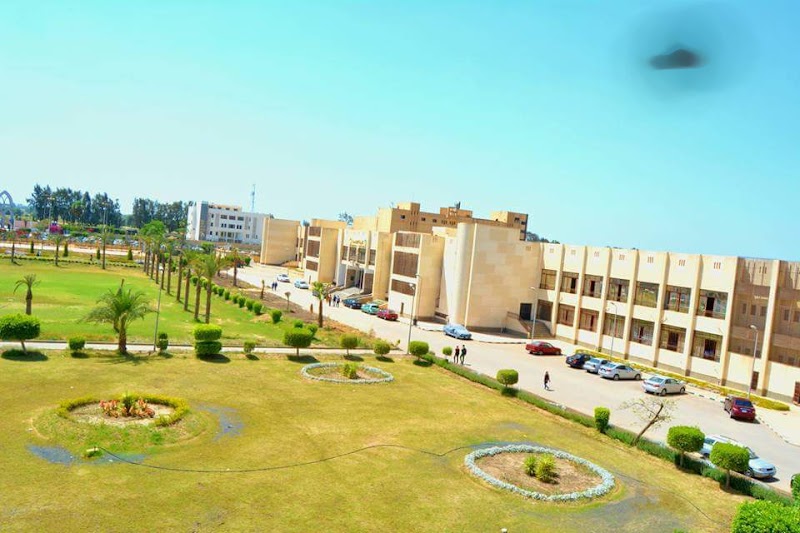 كلية الهندسة - جامعة طنطا - صورة 1