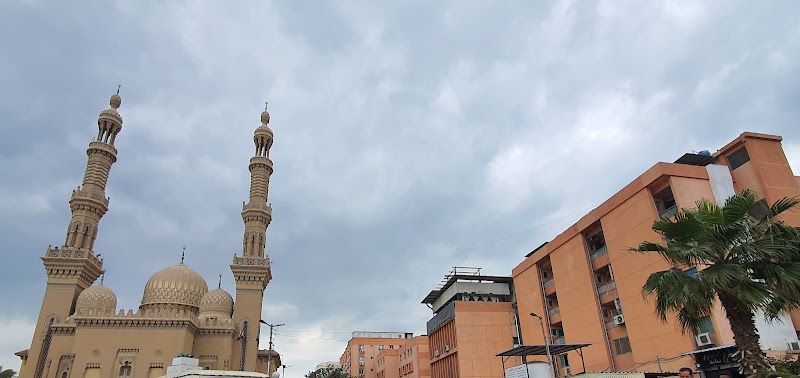 مستشفى المبرة للتأمين الصحى بالزقازيق - صورة 2