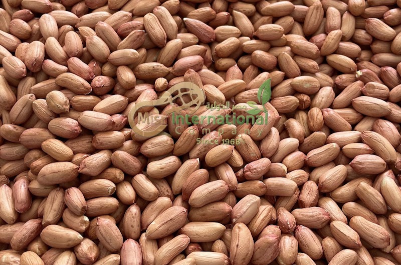 شركة مصر الدولية لتصنيع و تجهيز الحاصلات الزراعية