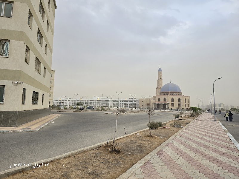جامعة السويس - صورة 3