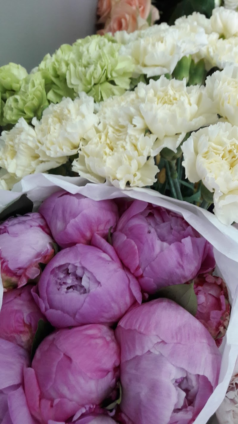 Regalos For Gifts, Flowers and Balloons - Photo 2