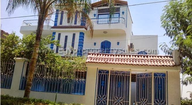 Egypt Property Sales - صورة 3