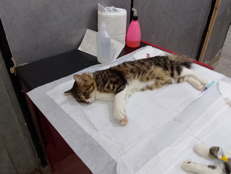 Veterinary clinic - Photo 2